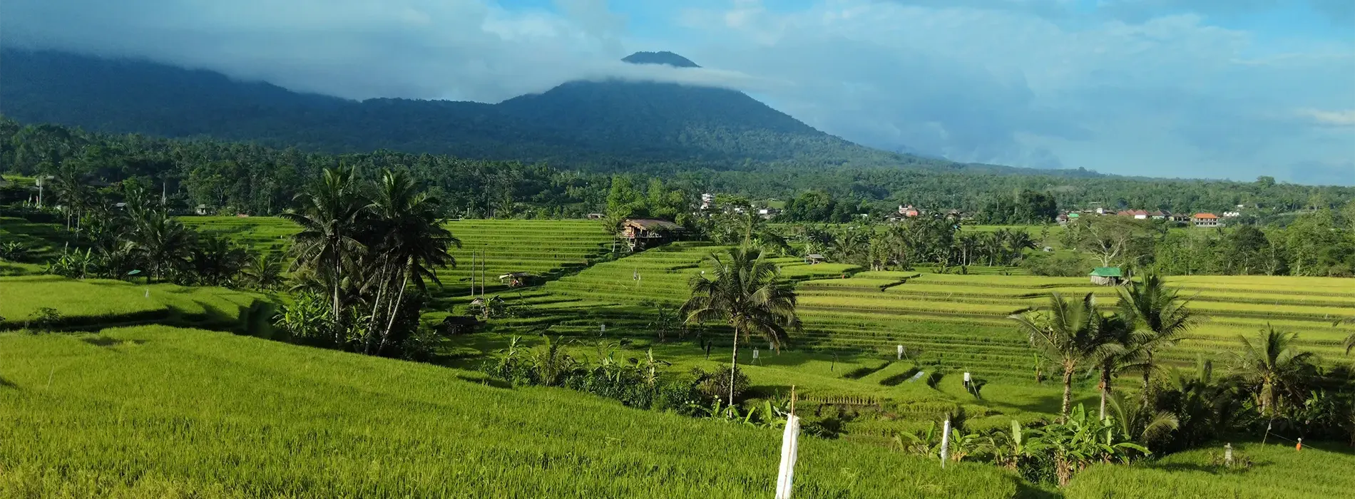 tabanan bali